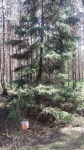 DyMnO 2018 018_m.jpg (thumbnail)