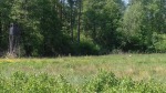 DyMnO 2018 022_m.jpg (thumbnail)