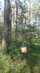 DyMnO 2018 028_m.jpg (thumbnail)