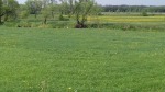 Dymno 2018 rekon 035_m.jpg (thumbnail)