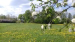 Dymno 2018 rekon 043_m.jpg (thumbnail)