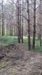 Dymno 2018 rekon 050_m.jpg (thumbnail)