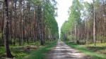 Dymno 2018 rekon 052_m.jpg (thumbnail)