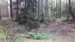 Dymno 2018 rekon 054_m.jpg (thumbnail)