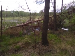 JEZIORO.jpg (thumbnail)