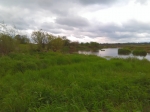 LIWIEC.jpg (thumbnail)