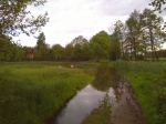 ZS_BROD.jpg (thumbnail)