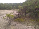 ZS_PIASKOWNICA.jpg (thumbnail)