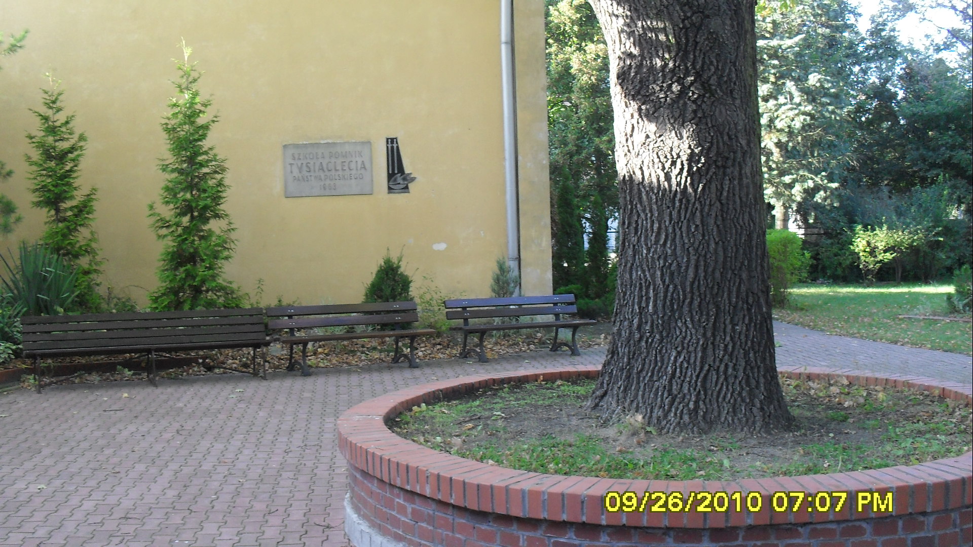 SDC11566.JPG (thumbnail)