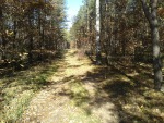 20131019_120612.jpg (thumbnail)