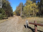 20131019_121036.jpg (thumbnail)