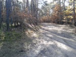 20131019_122040.jpg (thumbnail)