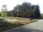 20131019_122420.jpg (thumbnail)