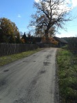 20131019_122546.jpg (thumbnail)
