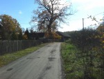 20131019_122552.jpg (thumbnail)