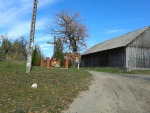 20131019_122724.jpg (thumbnail)