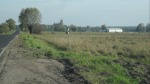 SDC15817.JPG (thumbnail)