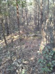 20141007_092213.jpg (thumbnail)