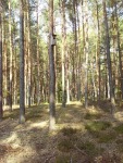 20141007_113612.jpg (thumbnail)