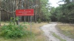 SDC16256.JPG (thumbnail)