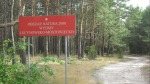 SDC16257.JPG (thumbnail)