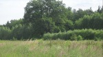 SDC16262.JPG (thumbnail)