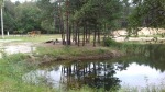 150.jpg (thumbnail)