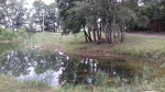 152.jpg (thumbnail)