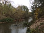 IMG_7863.JPG (thumbnail)