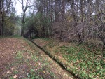 IMG_7865.JPG (thumbnail)