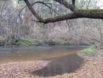 IMG_7870.JPG (thumbnail)