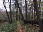 IMG_7871.JPG (thumbnail)