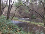 IMG_7872.JPG (thumbnail)