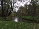 IMG_7884.JPG (thumbnail)