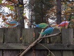 IMG_7887.JPG (thumbnail)